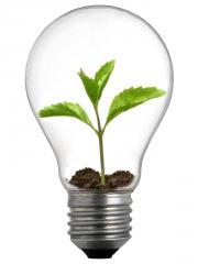 eco-innovation